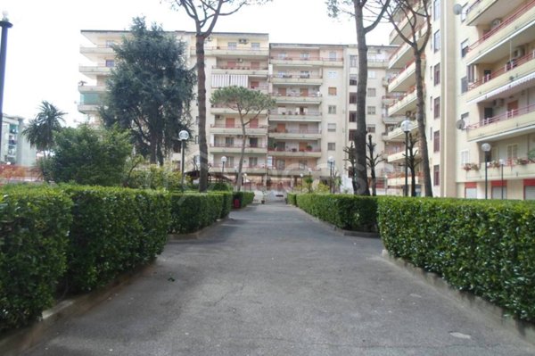 trivano in affitto a Calvizzano