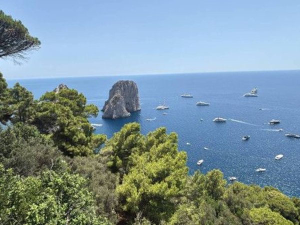 casa indipendente in affitto a Capri