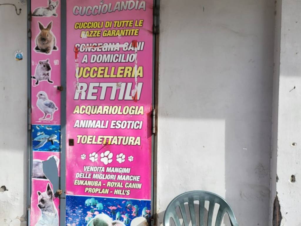 locale commerciale in affitto a Casalnuovo di Napoli