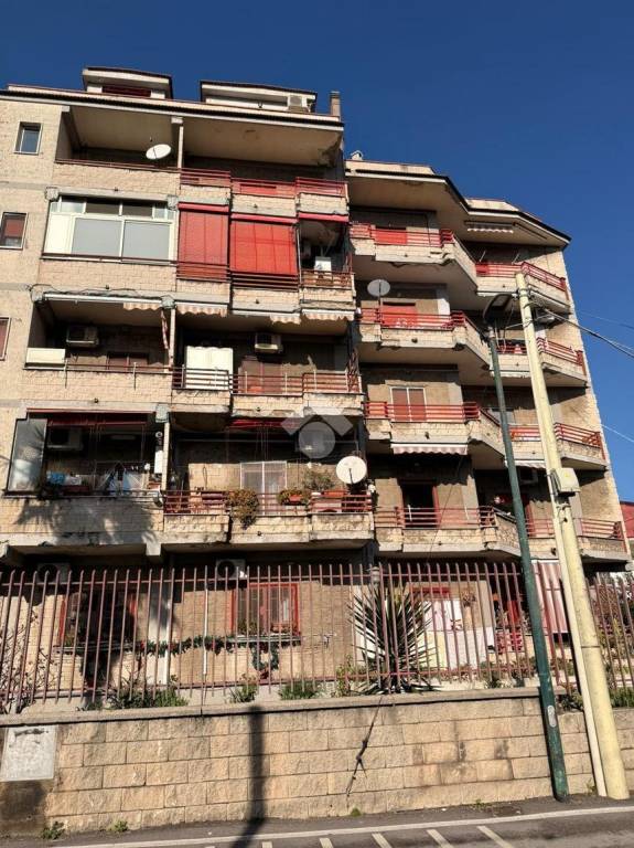 appartamento in affitto a Casalnuovo di Napoli