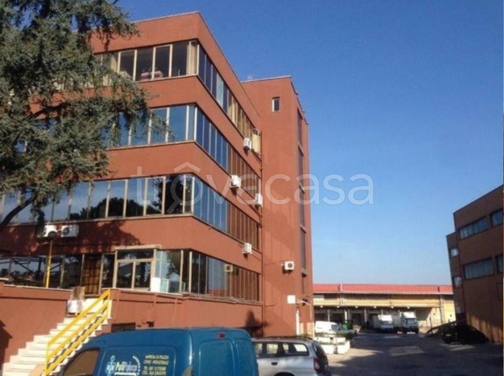 appartamento in affitto a Casalnuovo di Napoli