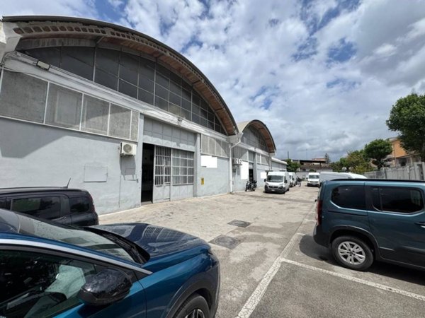 negozio in affitto a Casalnuovo di Napoli