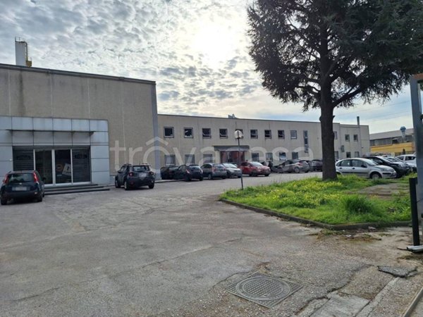 locale commerciale in affitto a Casandrino
