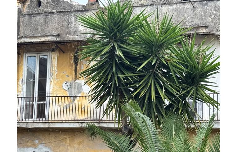 appartamento in affitto a Casandrino