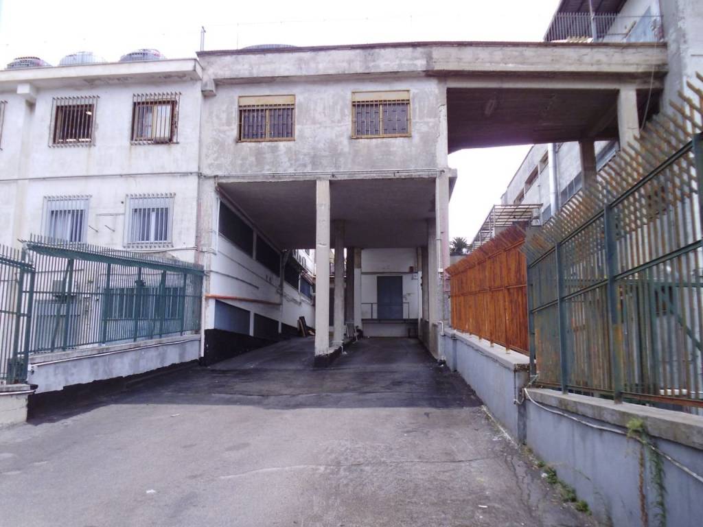 locale commerciale in affitto a Casandrino