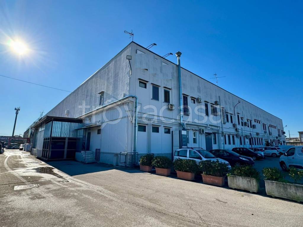 locale commerciale in affitto a Casandrino