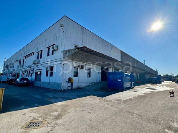 locale commerciale in affitto a Casandrino