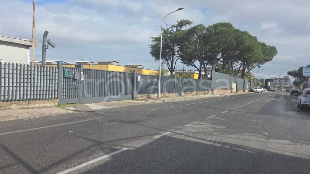 appartamento in affitto a Casandrino