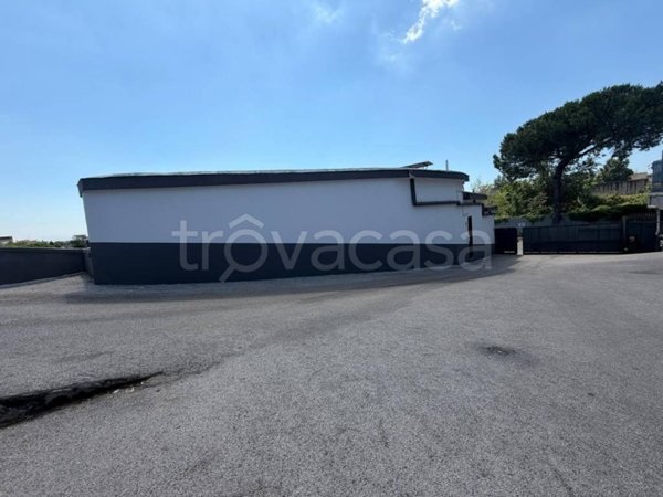 locale commerciale in affitto a Casandrino