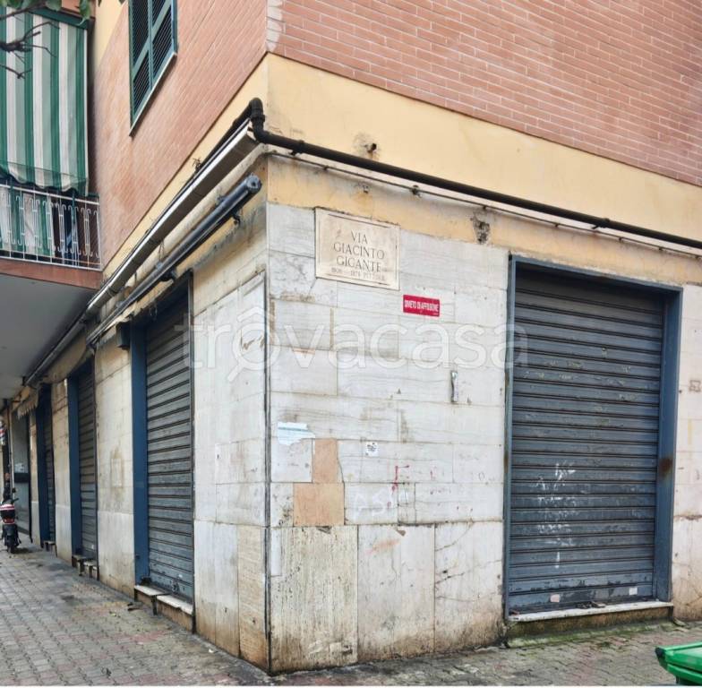 negozio in affitto a Casavatore