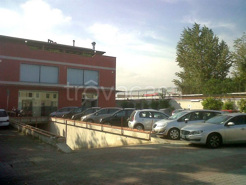 negozio in affitto a Casoria