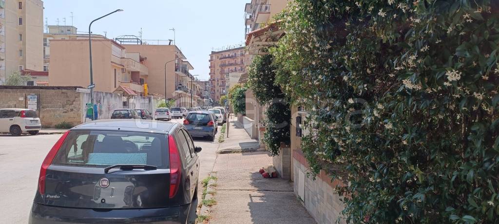 appartamento in affitto a Casoria