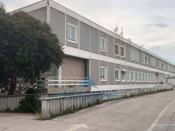 negozio in affitto a Casoria in zona Centro Storico