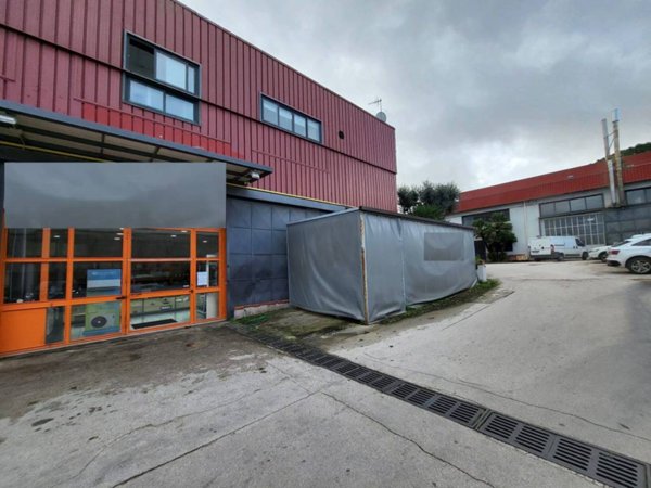 negozio in affitto a Casoria