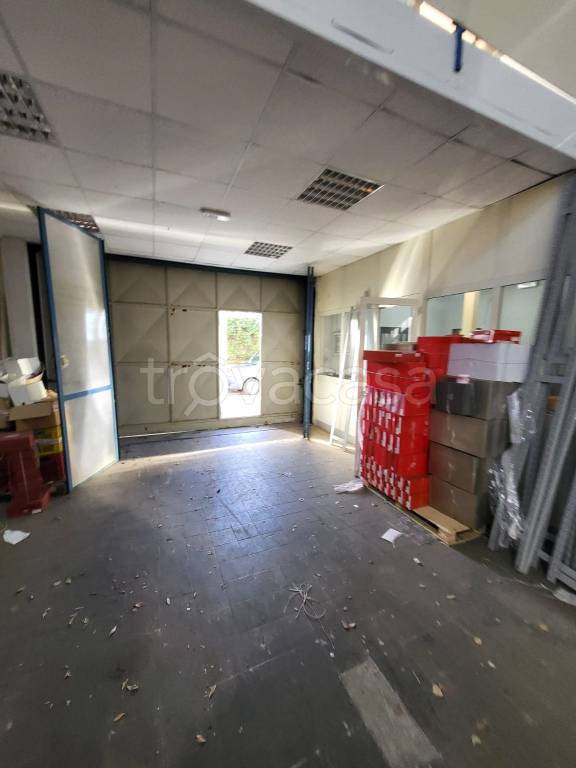 negozio in affitto a Casoria