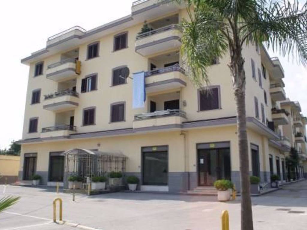 appartamento in affitto a Casoria