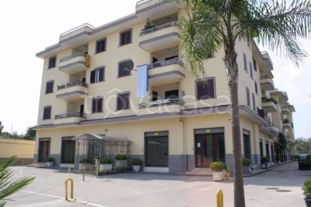 appartamento in affitto a Casoria