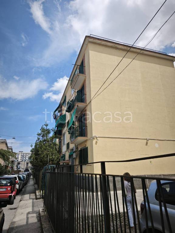 appartamento in affitto a Casoria