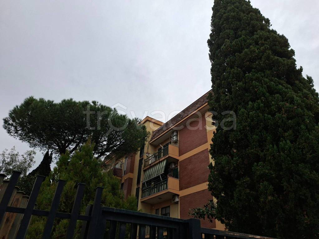 immagine annuncio 0 di 14