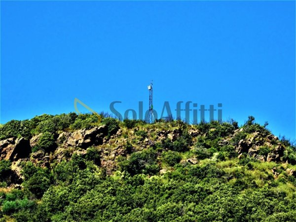 monolocale in affitto a Forio