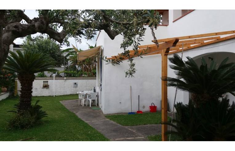 appartamento in affitto a Forio