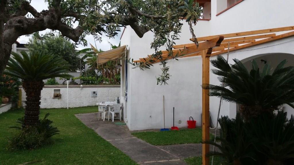 appartamento in affitto a Forio