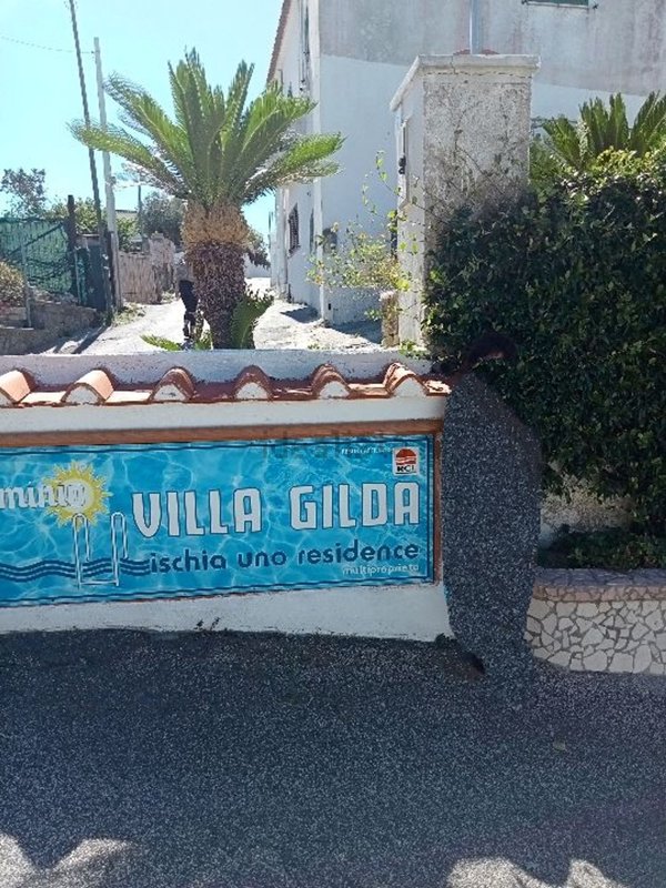 appartamento in affitto a Forio in zona Panza