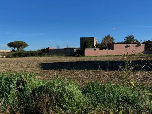 terreno agricolo in affitto a Giugliano in Campania in zona Massariola / Amodio