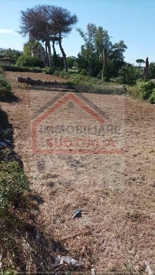 terreno agricolo in affitto a Giugliano in Campania in zona Varcaturo