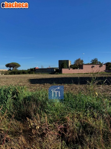 terreno agricolo in affitto a Giugliano in Campania in zona Massariola / Amodio
