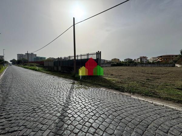 terreno agricolo in affitto a Giugliano in Campania in zona Casacelle