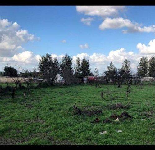 terreno agricolo in affitto a Giugliano in Campania in zona Varcaturo