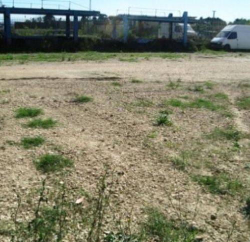 terreno agricolo in affitto a Giugliano in Campania in zona Varcaturo
