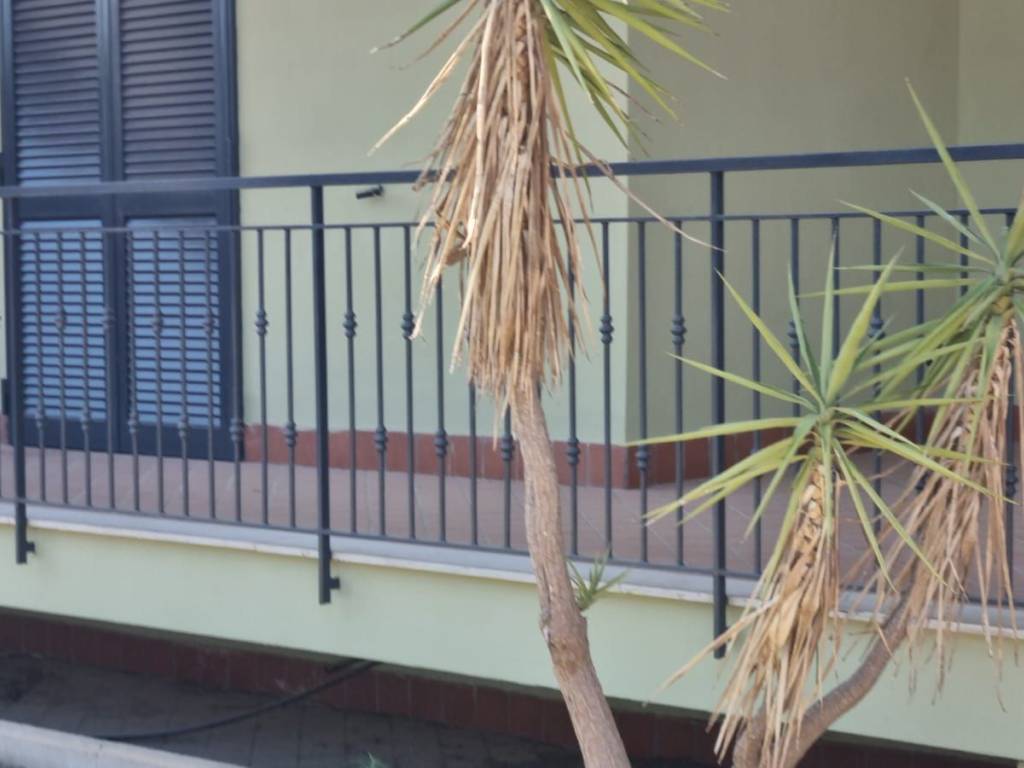 casa indipendente in affitto a Giugliano in Campania in zona Licola