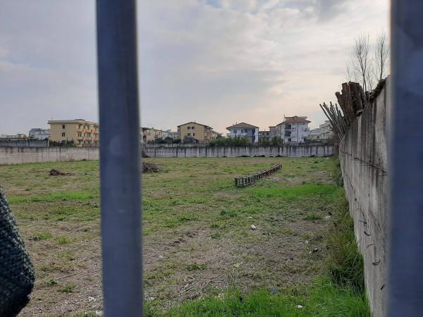 terreno agricolo in affitto a Giugliano in Campania in zona Casacelle