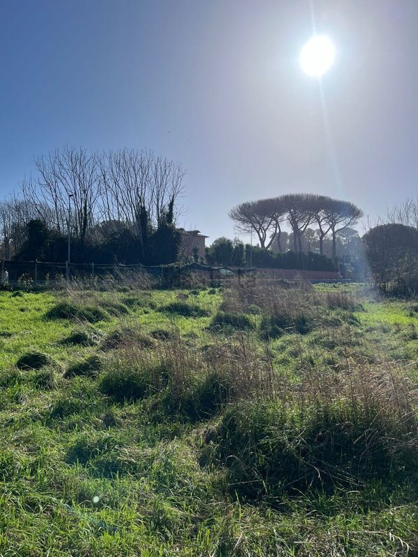 terreno agricolo in affitto a Giugliano in Campania in zona Varcaturo