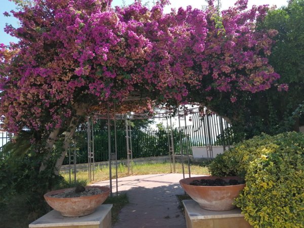 casa indipendente in affitto a Giugliano in Campania in zona Licola