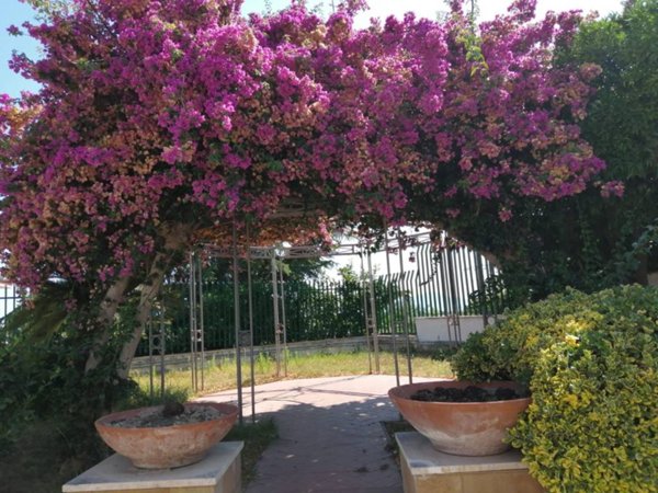 casa indipendente in affitto a Giugliano in Campania in zona Licola