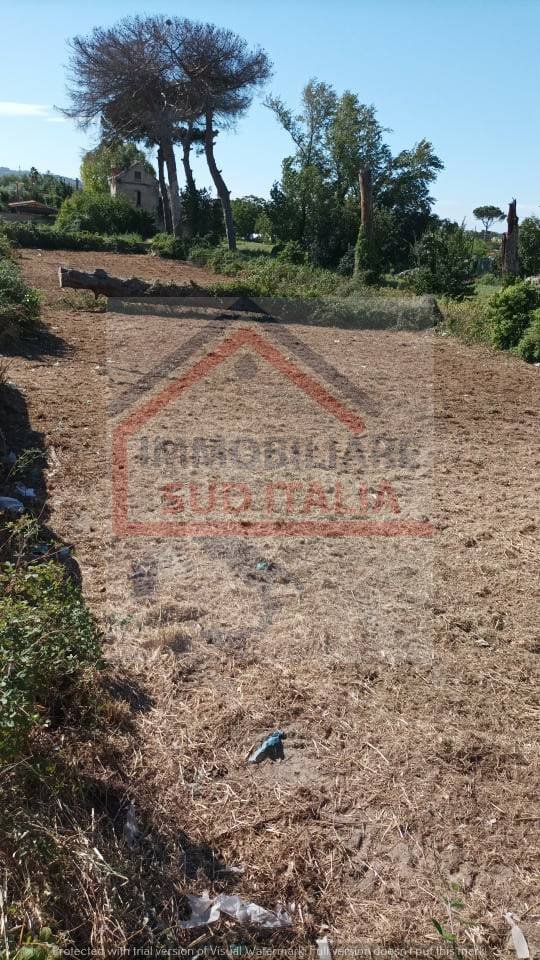 terreno in affitto a Giugliano in Campania