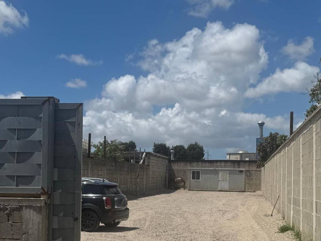 terreno agricolo in affitto a Grumo Nevano