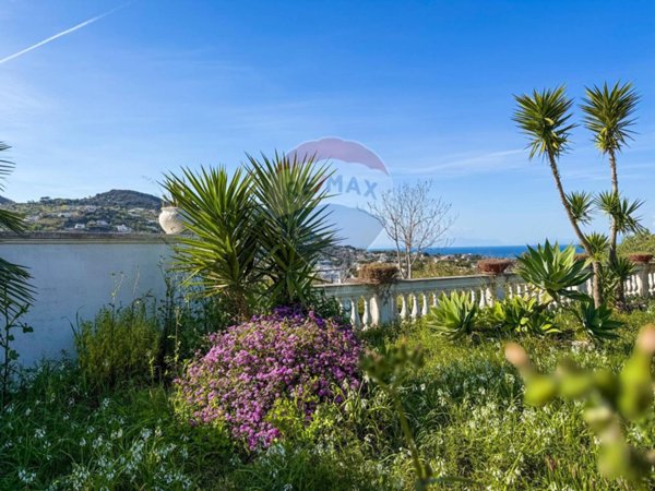 casa indipendente in affitto ad Ischia