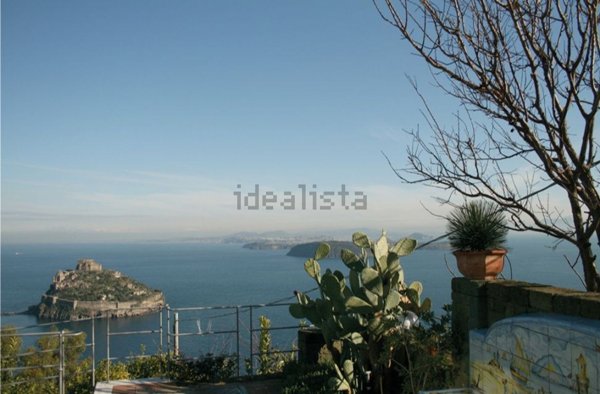 casa indipendente in affitto ad Ischia