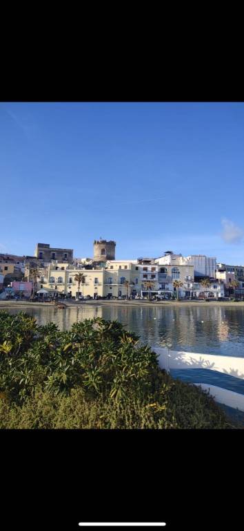 appartamento in affitto ad Ischia