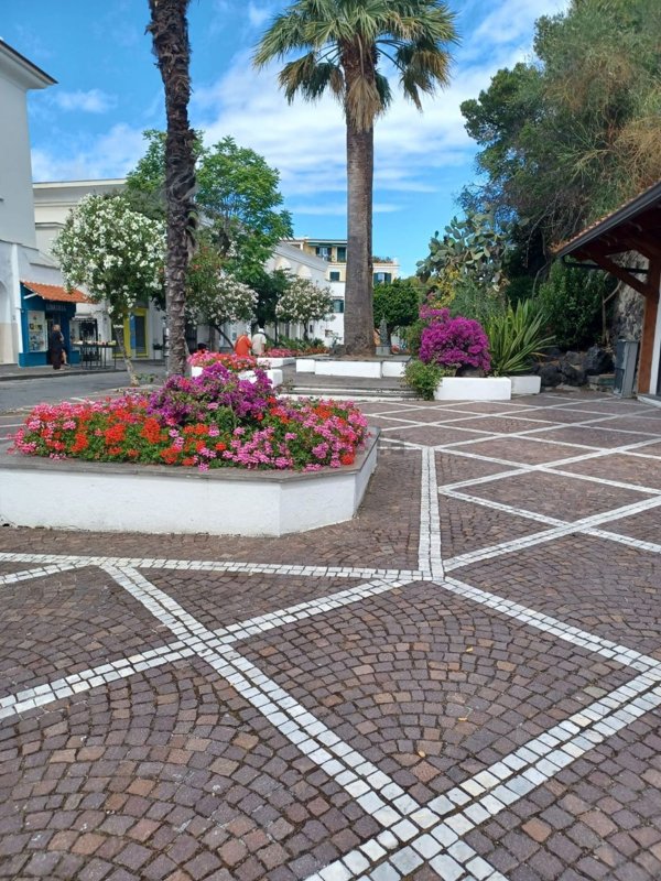 locale commerciale in affitto ad Ischia