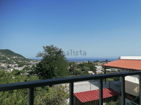 appartamento in affitto ad Ischia
