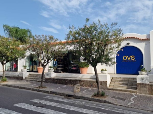 appartamento in affitto ad Ischia