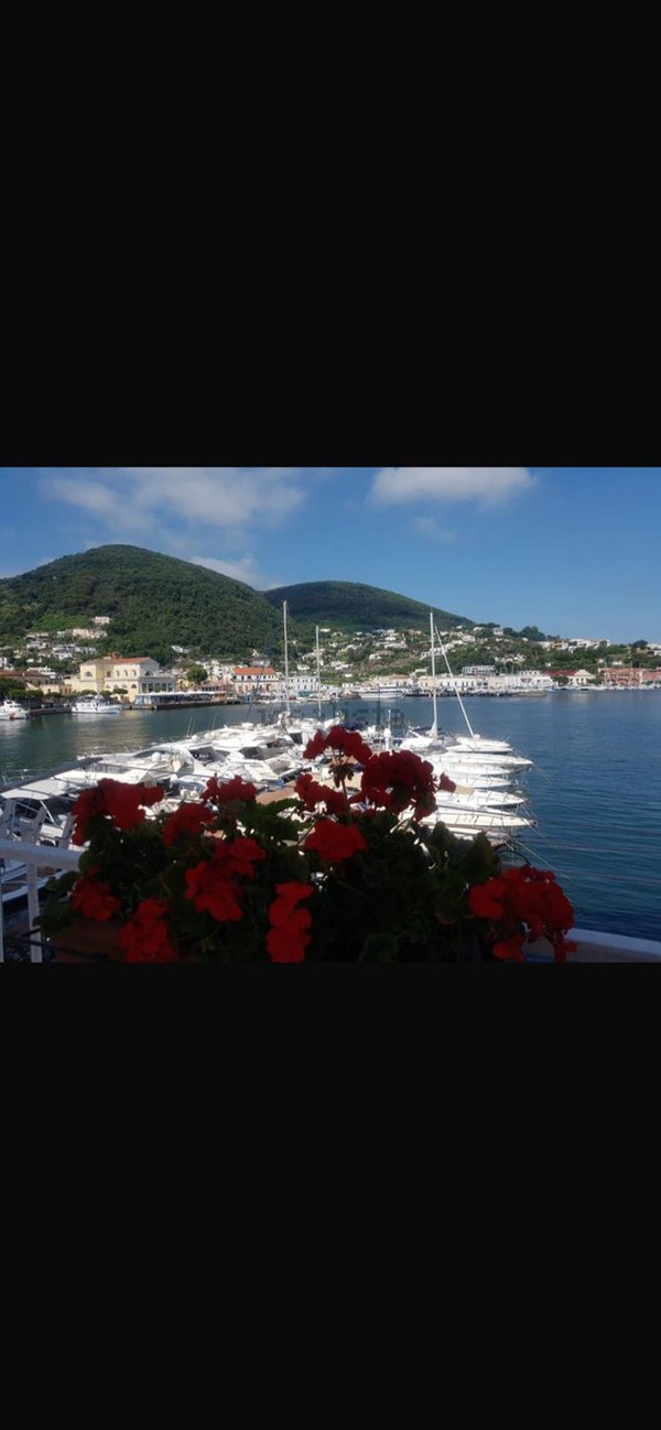 appartamento in affitto ad Ischia