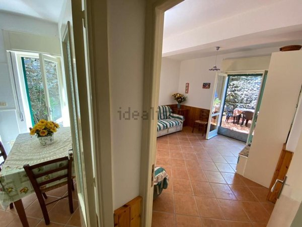 appartamento in affitto ad Ischia