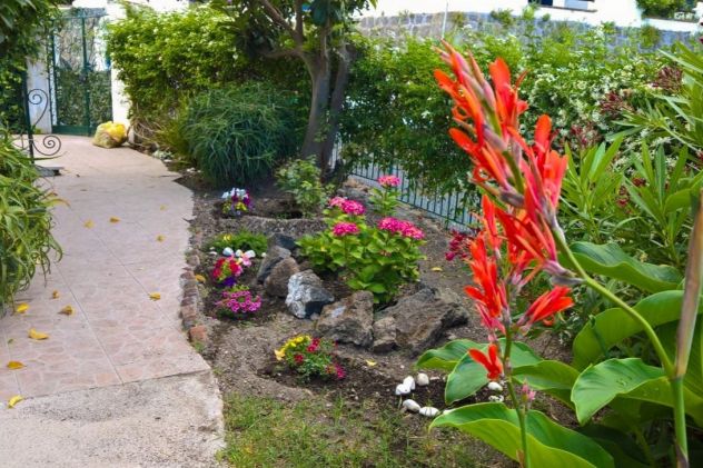appartamento in affitto ad Ischia