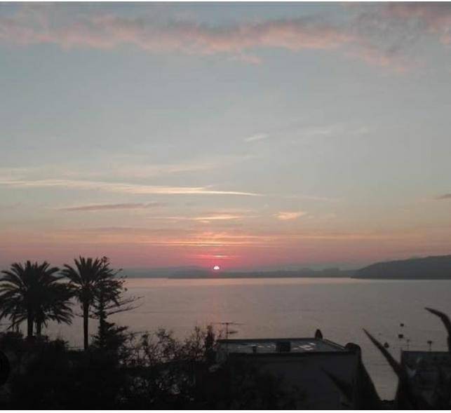 appartamento in affitto ad Ischia